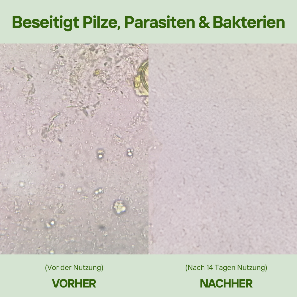 Anti Parasiten - Familien Bundle