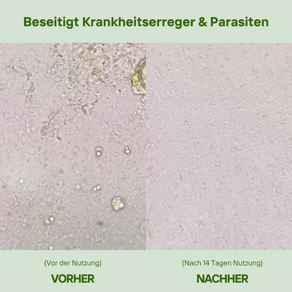 Kaufe 1 + 1 GRATIS - OregaMix